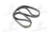Ремень привода Actyon, Kyron, Rexton, Rodius 6PK2255 SSANGYONG 6659970392 (фото 4)