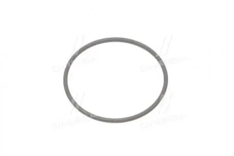 Уплотнительное кольцо (выр-во) SSANGYONG 6719940047