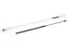 Амортизатор кришки багажника Ford Focus 03-07 STABILUS 012158 (фото 1)