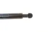 Амортизатор крышки багажника VW Jetta 91-98 STABILUS 0813MK (фото 6)