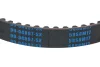 Ремінь зубчатий ГРМ (58z*17мм) STELLOX 0904897SX (фото 2)