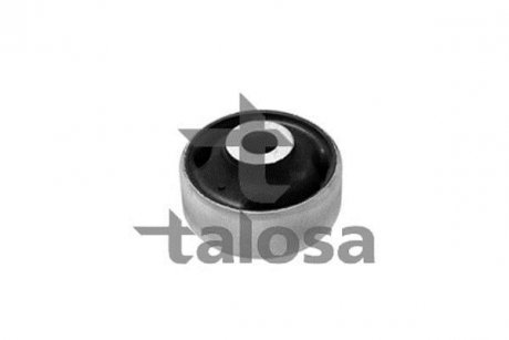 Підвіска, важіль незалежної підвіски колеса TALOSA 5702059 (фото 1)