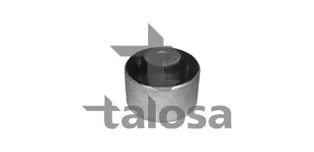 Підвіска, важіль незалежної підвіски колеса TALOSA 5702070 (фото 1)