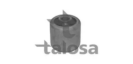 Подвеска, рычаг независимой подвески колеса TALOSA 5702326