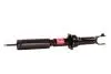 Амортизатор Honda Civic EJ9, EK3, EK1, EK4, Civic Coupe EJ6, EJ7, EJ8 1994-2001 TASHIKO G41198 (фото 3)