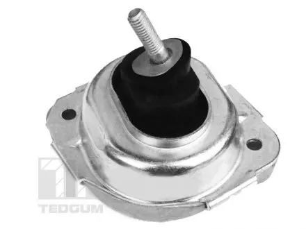 Подушка двигуна TEDGUM 00088550