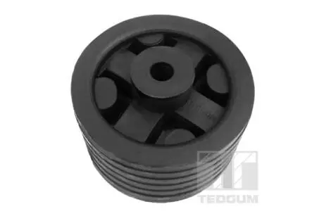 Сайлентблок подушки двигуна TEDGUM 00168157