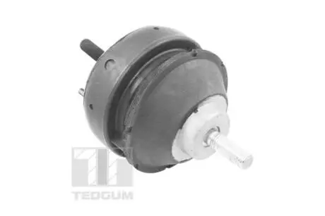 Подушка двигуна TEDGUM 00221186