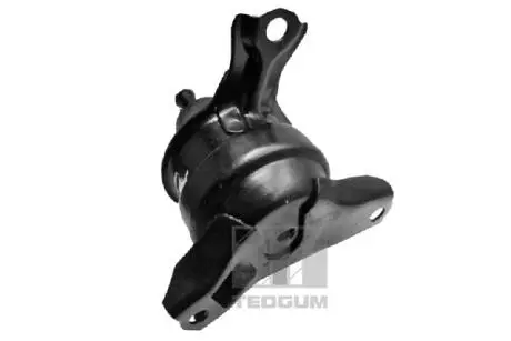 Подушка двигуна TEDGUM 00266476