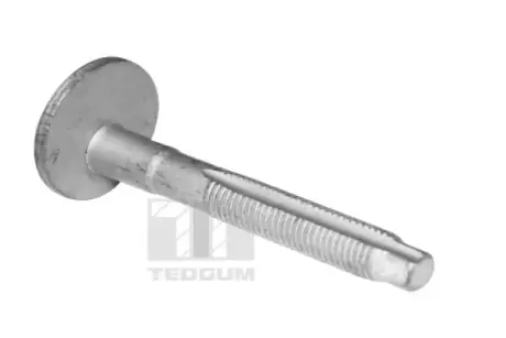 Болт розвалу з шестигранною головкою TEDGUM TED39597