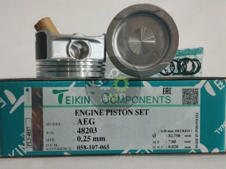 Поршень із пальцем +0.25мм (к-кт на двигун) AEG TEIKIN 48203-025