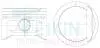 Поршень ДВС STD (4шт.+пальцы) Hyundai 2.0 MPI-DOHC Tucson (04-), Trajet (-07), Elantra (00-) TEIKIN 51127-STD (фото 1)