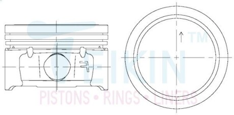 Поршень із пальцем STD (к-кт на двигун) Peugeot TU5JP4 TEIKIN 67106-STD