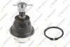 Опора кульова (передня/знизу) Ford Ranger 99-12 TEKNOROT FO1035 (фото 1)