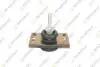 Подушка двигателя TEKNOROT REEM042 (фото 1)