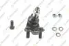 TOYOTA кульова опора (к-кт) нижн.прав.Camry 06- TEKNOROT T-214K (фото 1)