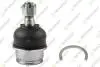 TEKNOROT TOYOTA Шаровая опора нижн.Land Cruiser 200,Sequoia 07-,Tundra 06- T830