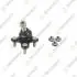 Опора шаровая (передняя/снизу/L) Audi A3/Skoda Octavia III/VW Caddy IV/Golf VII 12- TEKNOROT V-955K (фото 1)