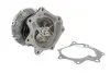 Насос охолоджуючої рідини THERMOTEC D11036TT (фото 1)