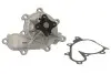 Насос охолоджуючої рідини THERMOTEC D11074TT (фото 2)