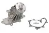 Насос охолоджуючої рідини THERMOTEC D11084TT (фото 2)