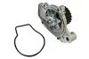 Насос охолоджуючої рідини THERMOTEC D14019TT (фото 2)