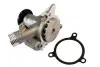 Насос охолоджуючої рідини THERMOTEC D1B013TT (фото 2)