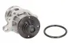 Насос охолоджуючої рідини THERMOTEC D1B016TT (фото 2)
