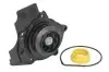 Насос охолоджуючої рідини THERMOTEC D1W052TT (фото 1)