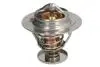 Термостат THERMOTEC D2AG017TT (фото 1)