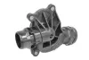 Термостат THERMOTEC D2B009TT (фото 2)