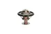 Термостат THERMOTEC D2C002TT (фото 2)
