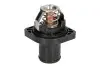 Термостат THERMOTEC D2C003TT (фото 1)