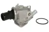 Термостат THERMOTEC D2D004TT (фото 1)