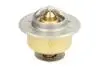 Термостат THERMOTEC D2JD009TT (фото 1)