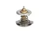 Термостат системи охолодження THERMOTEC D2M001TT (фото 1)