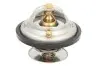 Термостат THERMOTEC D2MA005TT (фото 1)