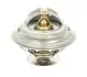 Термостат THERMOTEC D2PE004TT (фото 1)