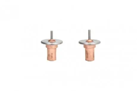 Термостат системи охолодження THERMOTEC D2W001TT