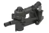 Термостат THERMOTEC D2W013TT (фото 1)