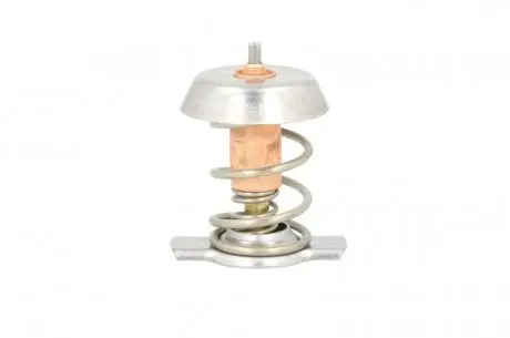 Термостат THERMOTEC D2X002TT