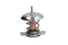 Термостат системи охолодження THERMOTEC D2X005TT (фото 1)