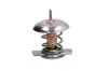 Термостат системи охолодження THERMOTEC D2X005TT (фото 2)