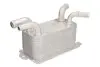 Радиатор смазки THERMOTEC D4V004TT (фото 1)