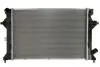 Радиатор двигателя THERMOTEC D70522TT (фото 1)