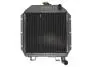 Радиатор THERMOTEC D7AG006TT (фото 1)