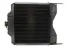 Радиатор THERMOTEC D7AG018TT (фото 2)