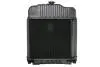 Радіатор двигуна, головний THERMOTEC D7AG025TT (фото 2)
