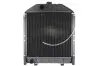 Радиатор двигателя, главный THERMOTEC D7AG042TT (фото 1)