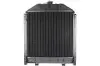 Радиатор двигателя, главный THERMOTEC D7AG042TT (фото 2)